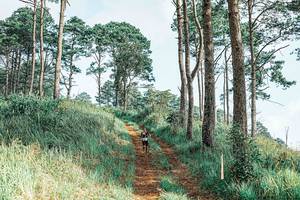 BIB: 
                            <button type="button" onclick="openModal(25652985)" class="btn btn-primary btn-sm float-right btn-popup" data-toggle="modal" data-target=".modal-high-quality">
                        <i class="fas fa-shopping-cart"></i> Add to Cart
                    </button>
                                            <button type="button" onclick="isThisMe(25652985, true)" class="btn btn-success btn-sm float-right btn-popup btn-isme hidden" data-toggle="tooltip" data-placement="bottom" title="นี่คือรูปของคุณใช่ไหม คลิกที่นี่เพื่อเอาเข้าอัลบั้ม">
                        <i class="fas fa-plus"></i> Add to album
                    </button>
                    <button type="button" onclick="isThisMe(25652985, false)" class="btn btn-warning btn-sm float-right btn-popup btn-isnotme hidden">
                        <i class="fas fa-ban"></i> Remove from album
                    </button>